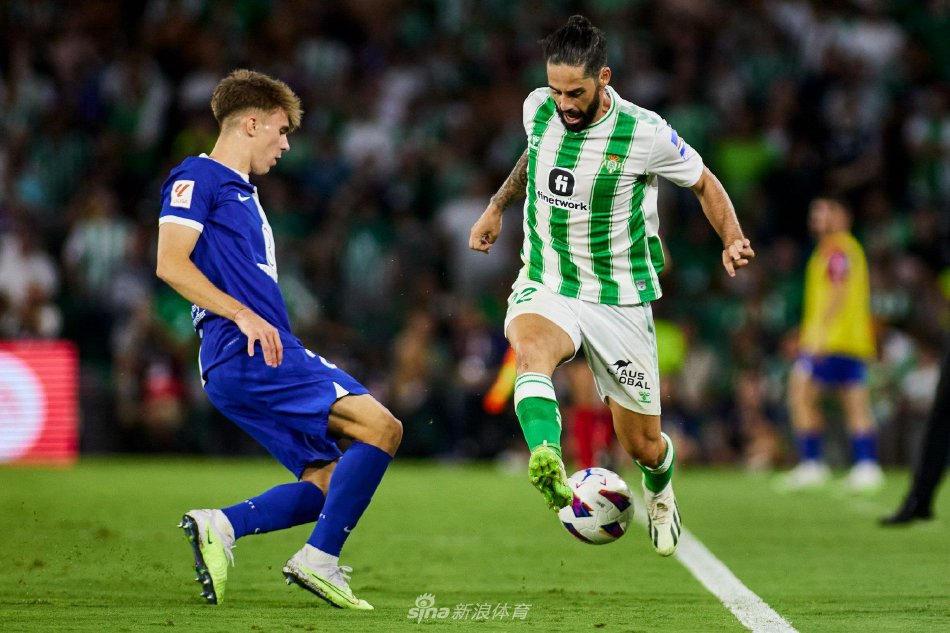 白血病康复 白血病康复