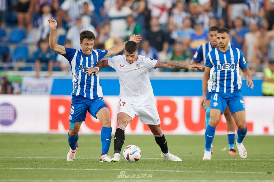 球迷热情的 球迷热情的